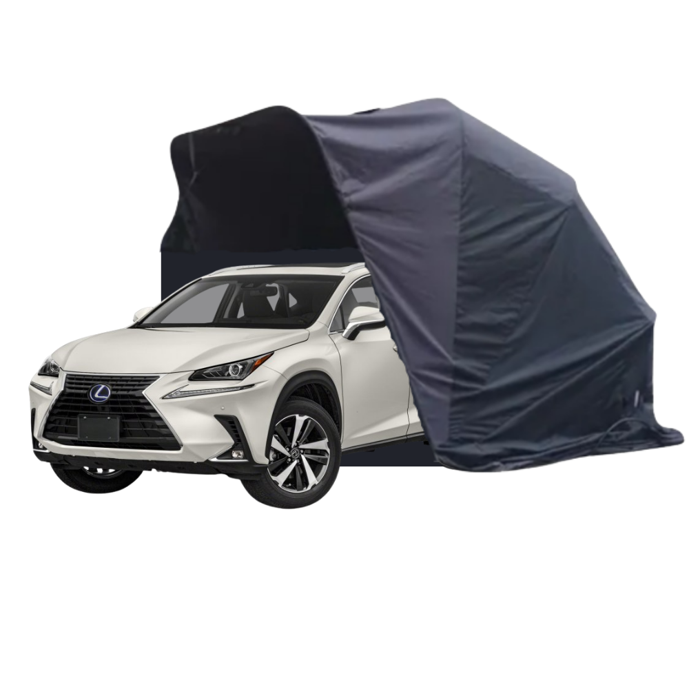 Lexus NX 300